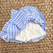 Blue Gingham Ruffle Skirt